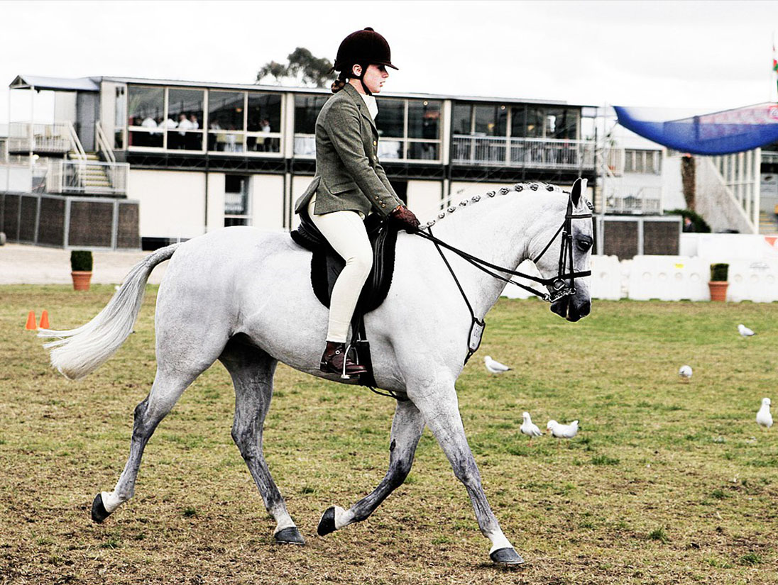 Horse Riding